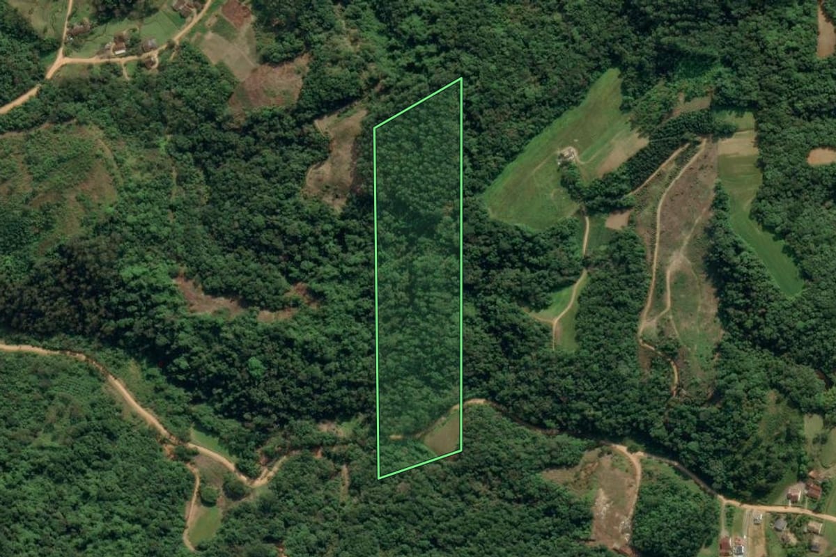 Imagem de satélite do imóvel rural em Ibirama (SC), com o contorno declarado no CAR desenhado por cima.