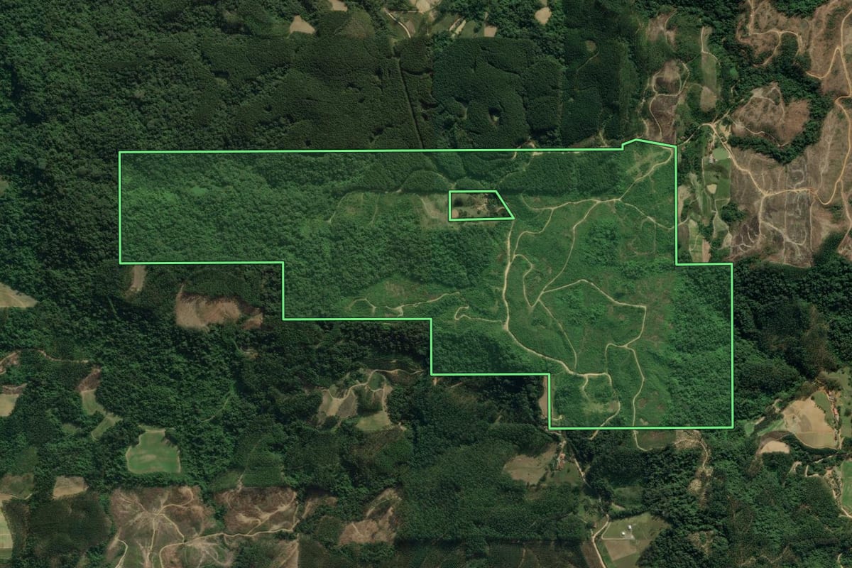Imagem de satélite do imóvel rural em Ibirama (SC), com o contorno declarado no CAR desenhado por cima.