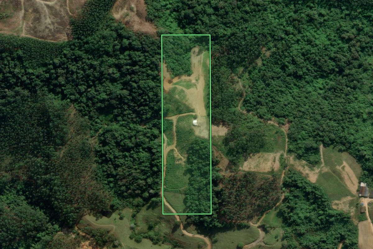 Imagem de satélite do imóvel rural em Ibirama (SC), com o contorno declarado no CAR desenhado por cima.