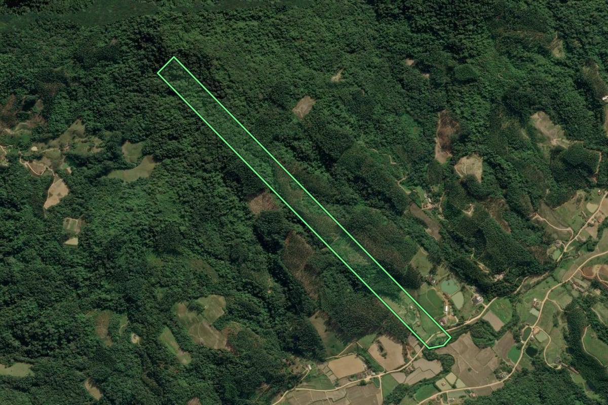 Imagem de satélite do imóvel rural em Ibirama (SC), com o contorno declarado no CAR desenhado por cima.