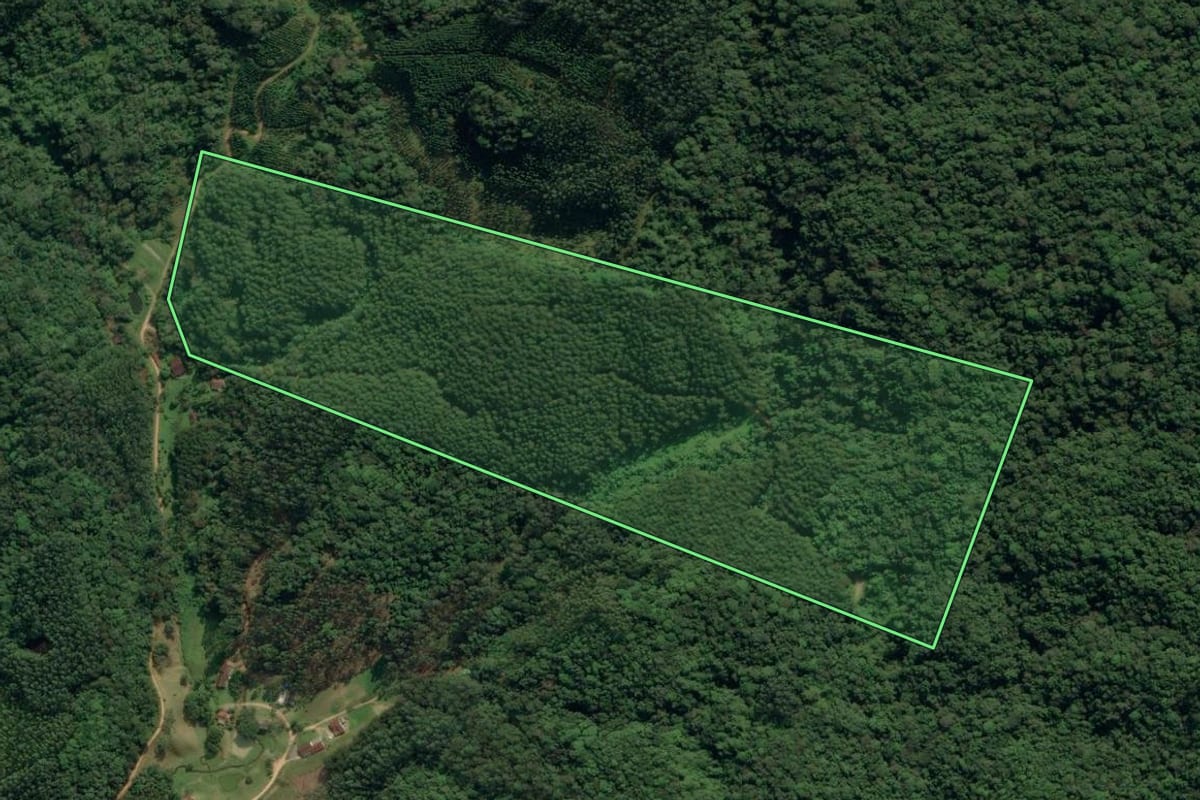 Imagem de satélite do imóvel rural em Apiúna (SC), com o contorno declarado no CAR desenhado por cima.