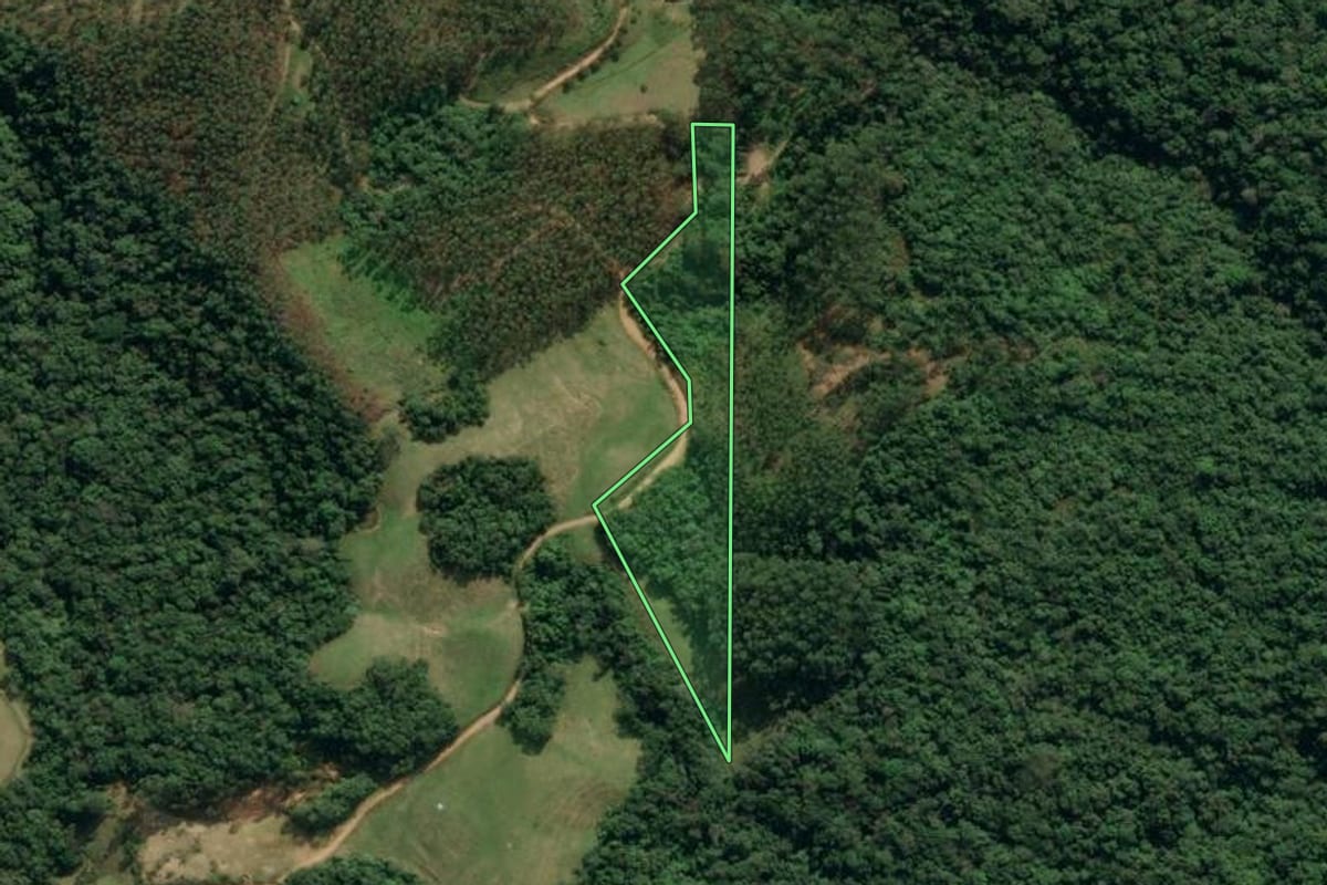 Imagem de satélite do imóvel rural em Ibirama (SC), com o contorno declarado no CAR desenhado por cima.