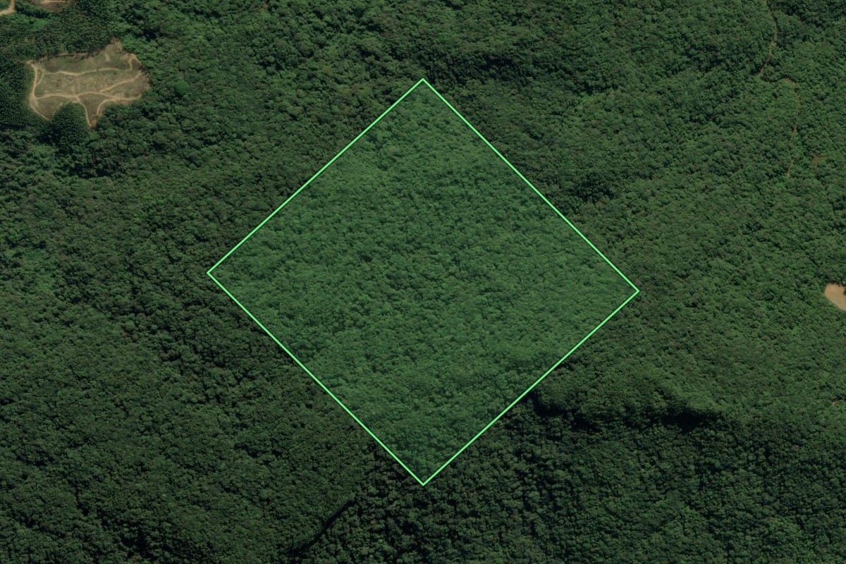 Imagem de satélite do imóvel rural em Ibirama (SC), com o contorno declarado no CAR desenhado por cima.