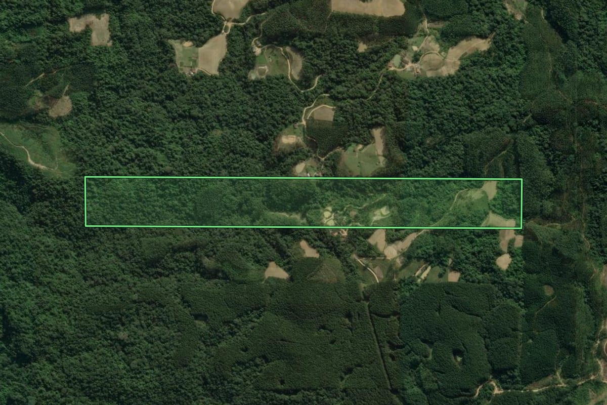 Imagem de satélite do imóvel rural em Ibirama (SC), com o contorno declarado no CAR desenhado por cima.