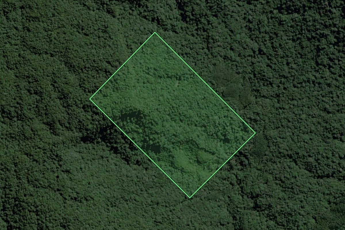 Imagem de satélite do imóvel rural em Ibirama (SC), com o contorno declarado no CAR desenhado por cima.