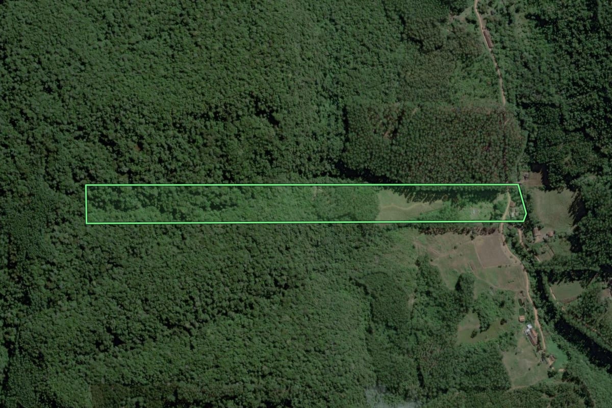Imagem de satélite do imóvel rural em Ibirama (SC), com o contorno declarado no CAR desenhado por cima.