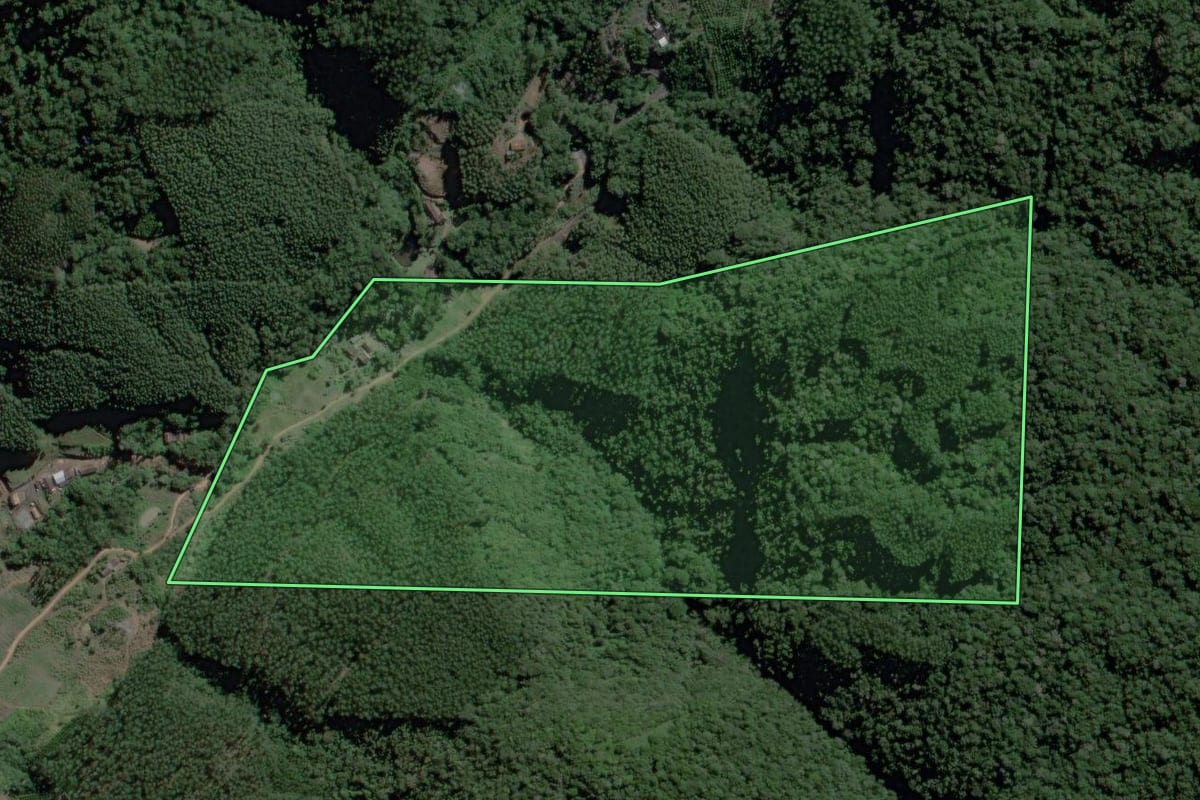 Imagem de satélite do imóvel rural em Ibirama (SC), com o contorno declarado no CAR desenhado por cima.