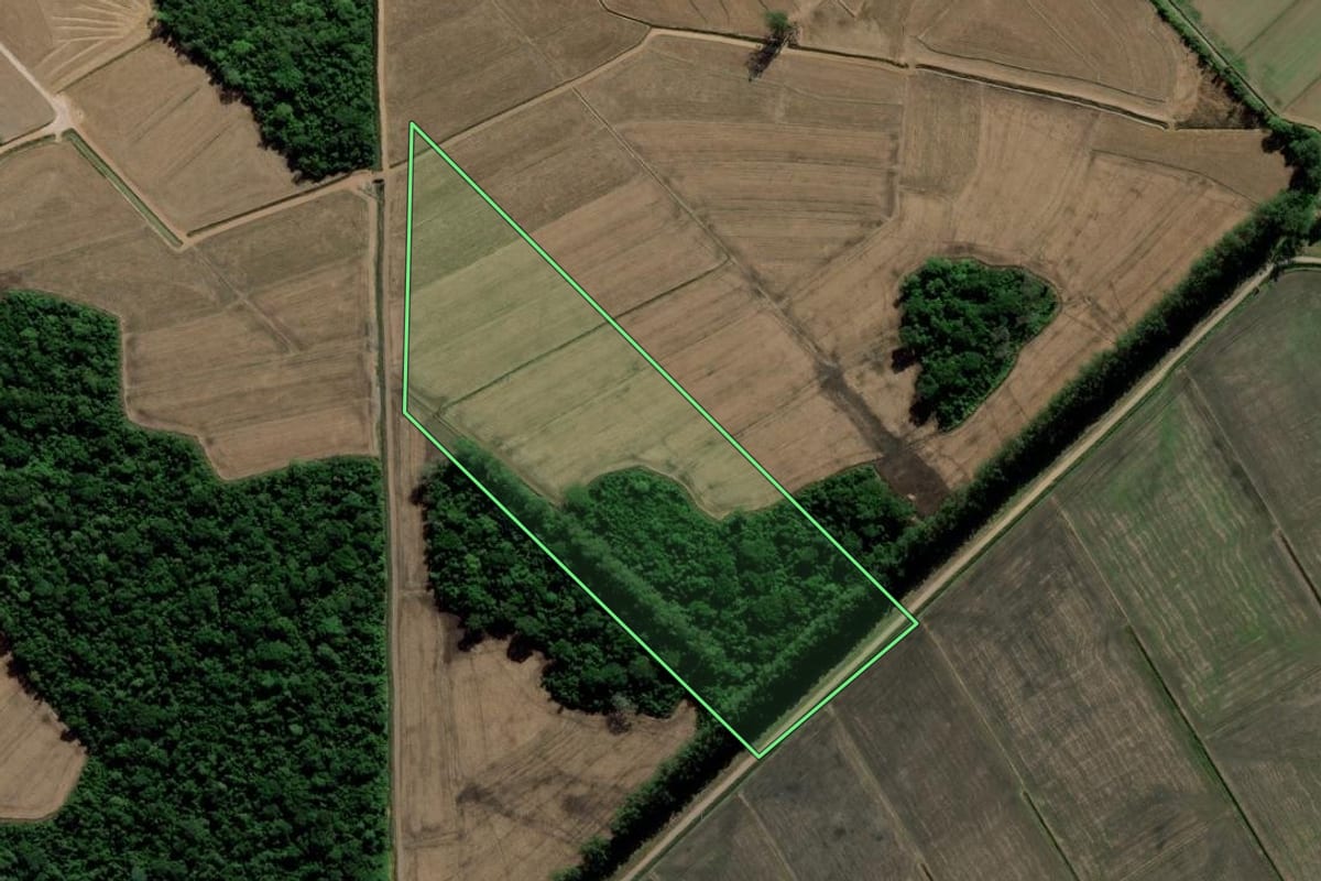 Imagem de satélite do imóvel rural em Içara (SC), com o contorno declarado no CAR desenhado por cima.