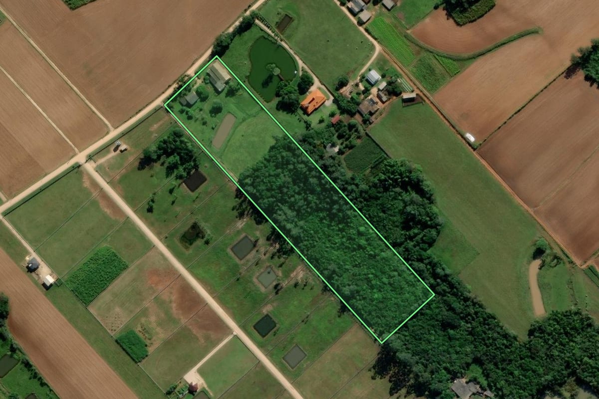 Imagem de satélite do imóvel rural em Içara (SC), com o contorno declarado no CAR desenhado por cima.