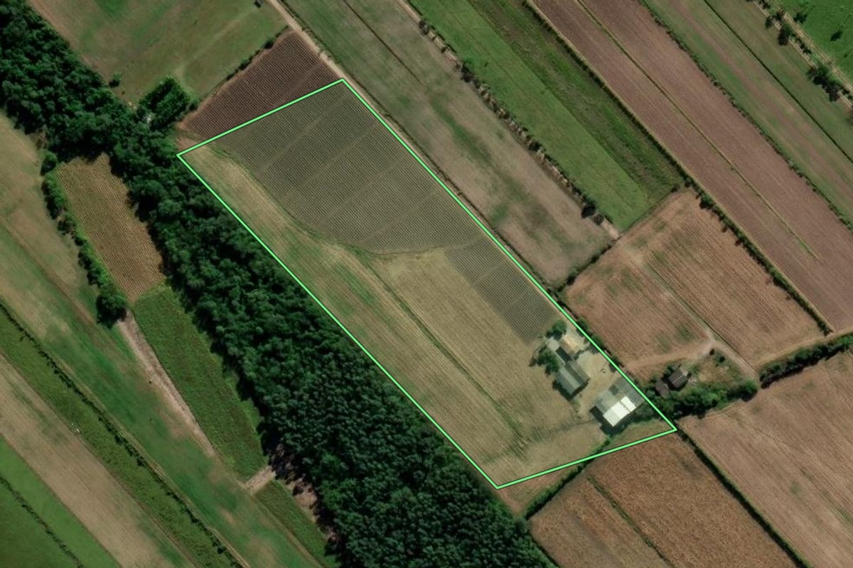 Imagem de satélite do imóvel rural em Içara (SC), com o contorno declarado no CAR desenhado por cima.