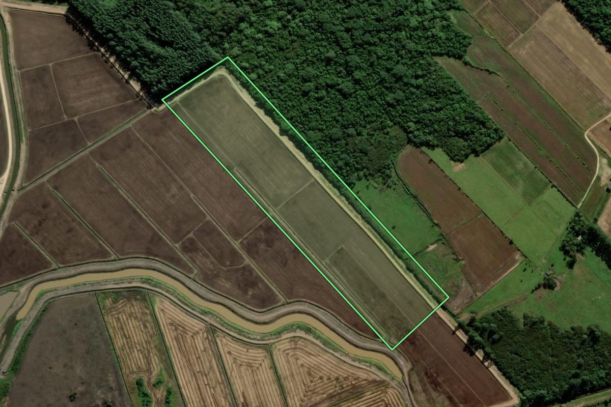 Imagem de satélite do imóvel rural em Içara (SC), com o contorno declarado no CAR desenhado por cima.