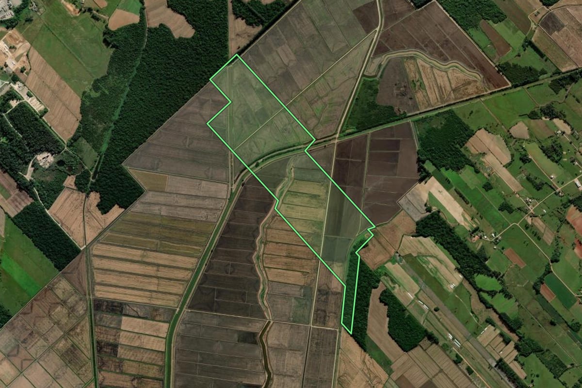 Imagem de satélite do imóvel rural em Içara (SC), com o contorno declarado no CAR desenhado por cima.