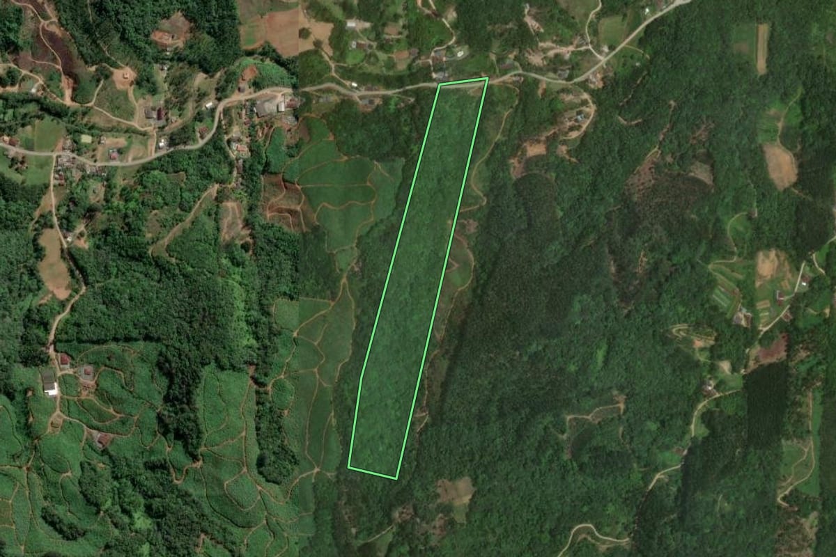 Imagem de satélite do imóvel rural em Ilhota (SC), com o contorno declarado no CAR desenhado por cima.