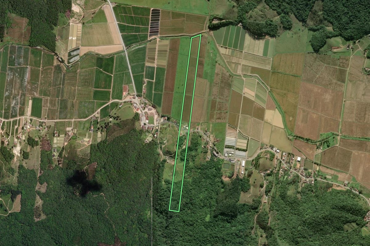 Imagem de satélite do imóvel rural em Ilhota (SC), com o contorno declarado no CAR desenhado por cima.