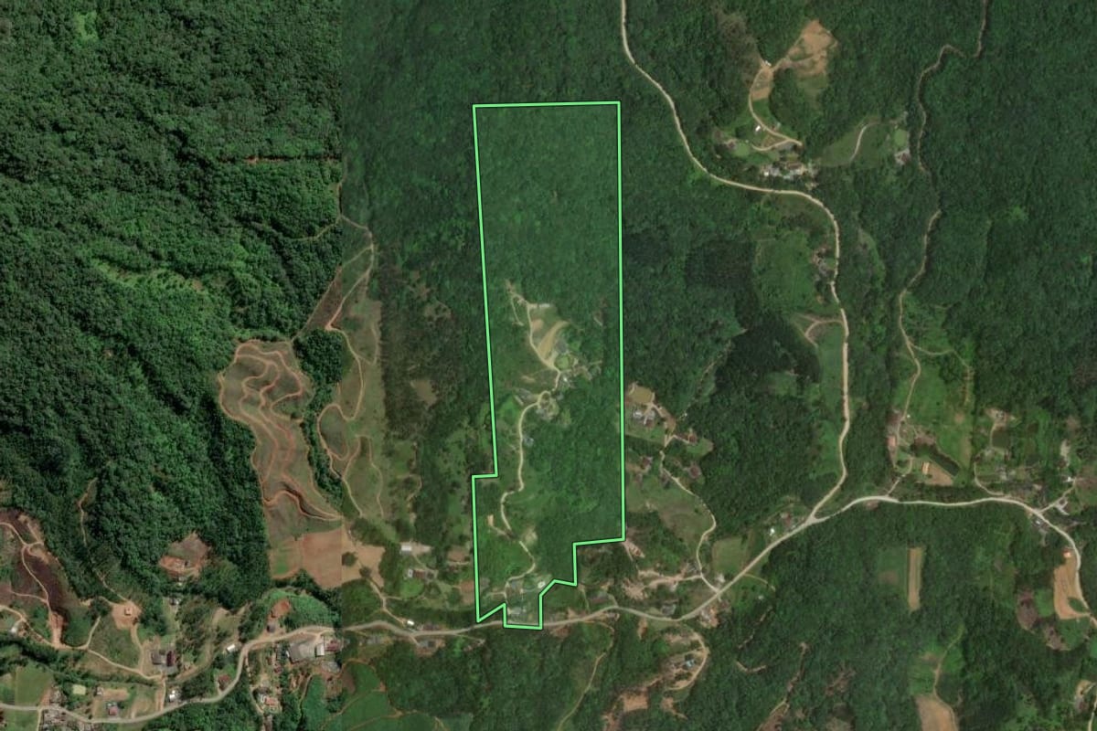 Imagem de satélite do imóvel rural em Ilhota (SC), com o contorno declarado no CAR desenhado por cima.