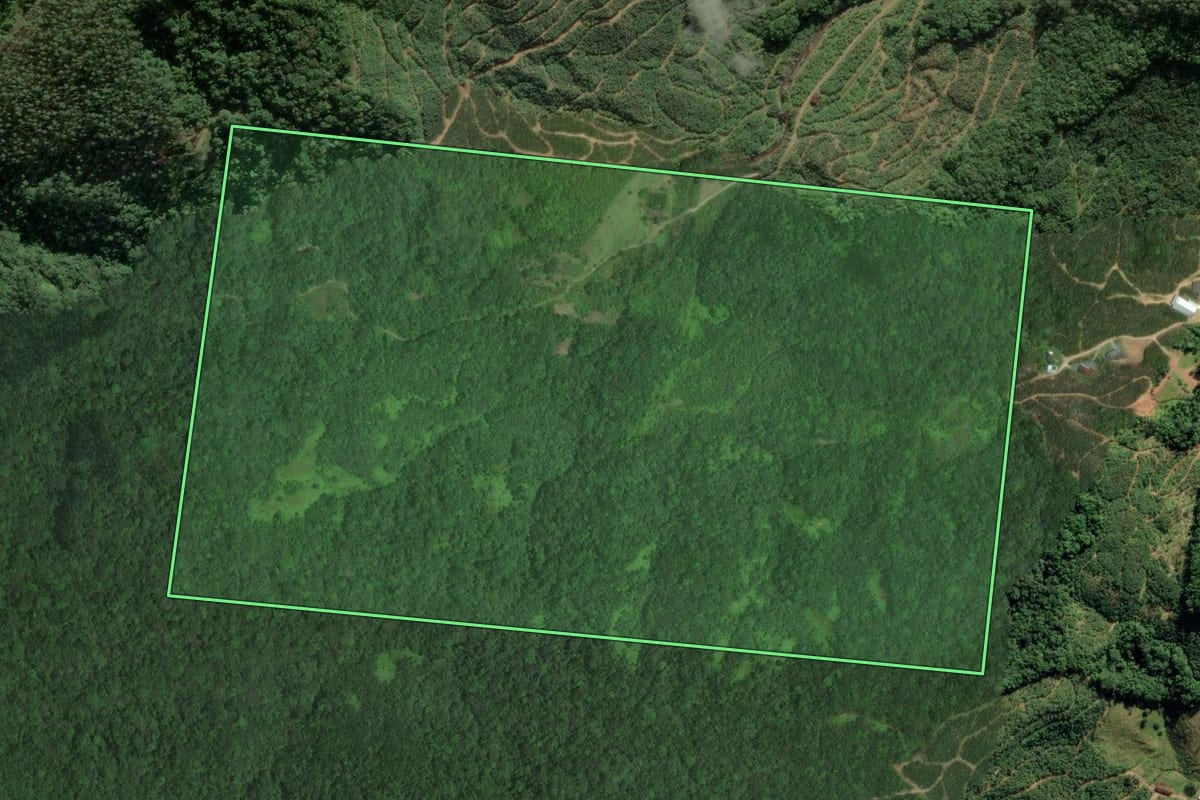 Imagem de satélite do imóvel rural em Ilhota (SC), com o contorno declarado no CAR desenhado por cima.