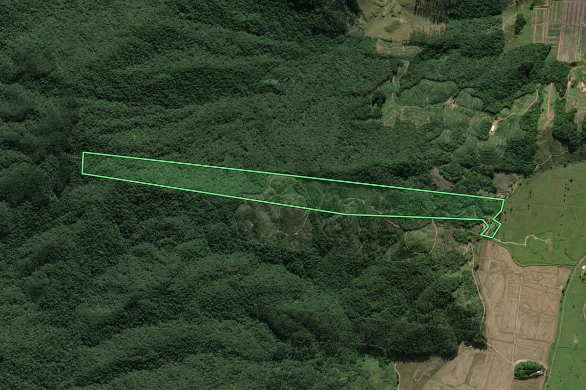 Imagem de satélite do imóvel rural em Ilhota (SC), com o contorno declarado no CAR desenhado por cima.
