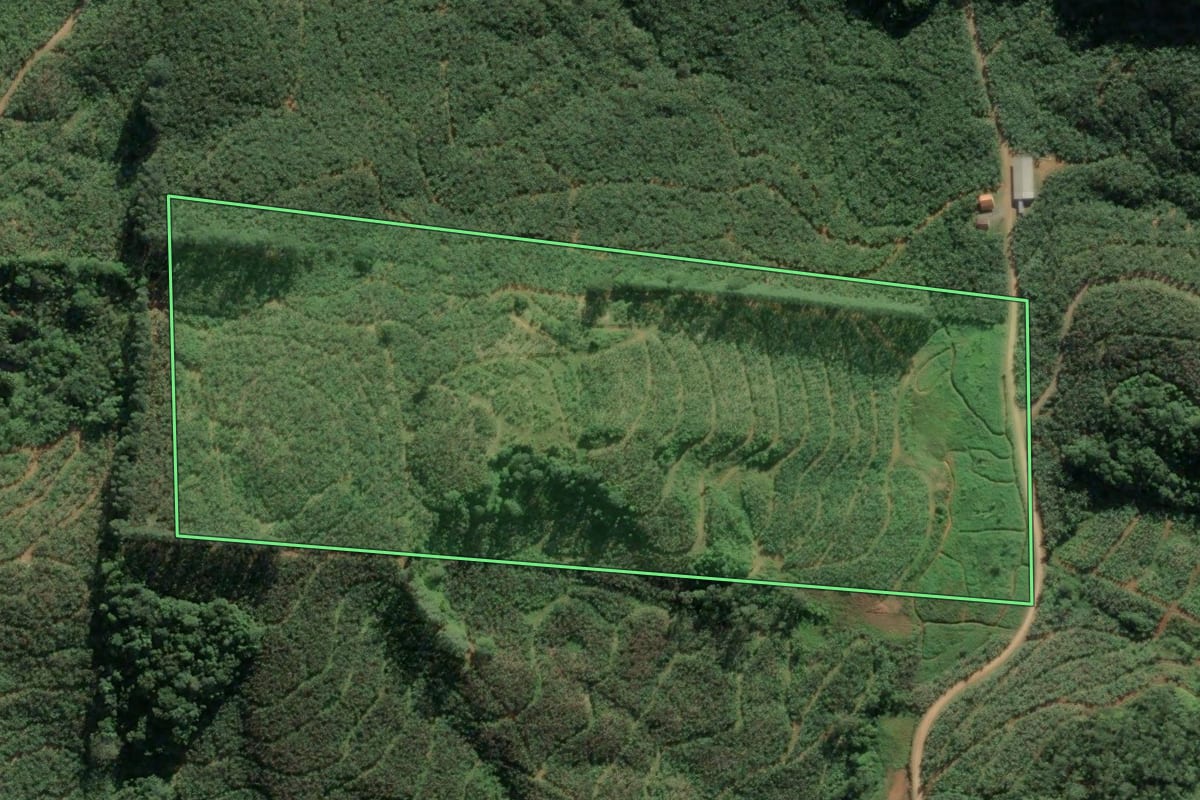 Imagem de satélite do imóvel rural em Ilhota (SC), com o contorno declarado no CAR desenhado por cima.