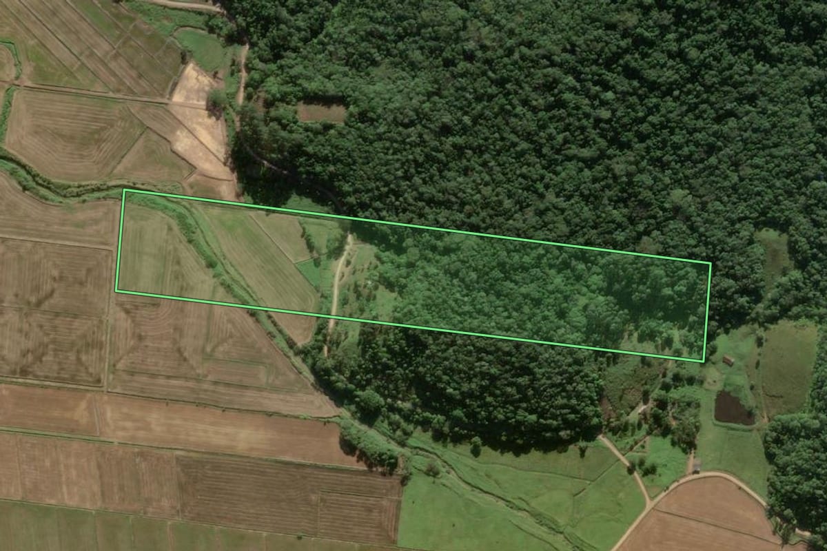 Imagem de satélite do imóvel rural em Ilhota (SC), com o contorno declarado no CAR desenhado por cima.