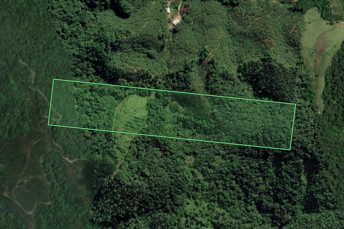 Imagem de satélite do imóvel rural em Ilhota (SC), com o contorno declarado no CAR desenhado por cima.