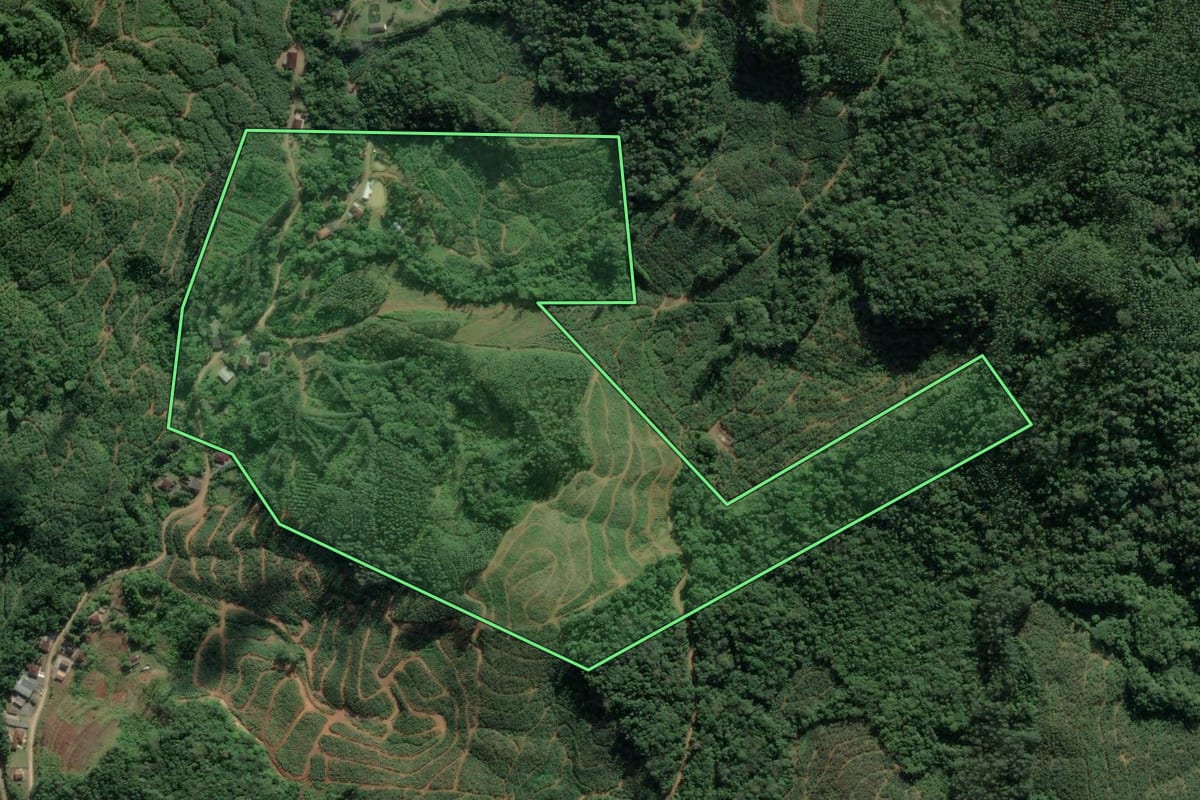 Imagem de satélite do imóvel rural em Ilhota (SC), com o contorno declarado no CAR desenhado por cima.