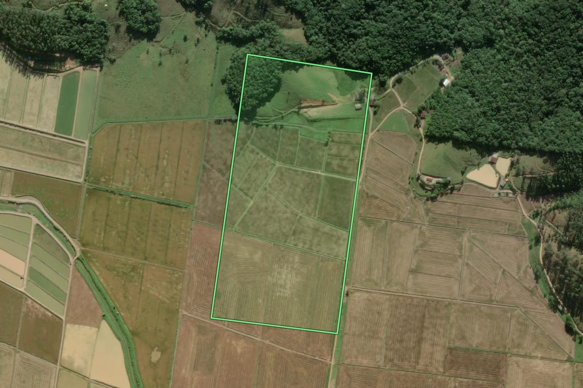 Imagem de satélite do imóvel rural em Ilhota (SC), com o contorno declarado no CAR desenhado por cima.