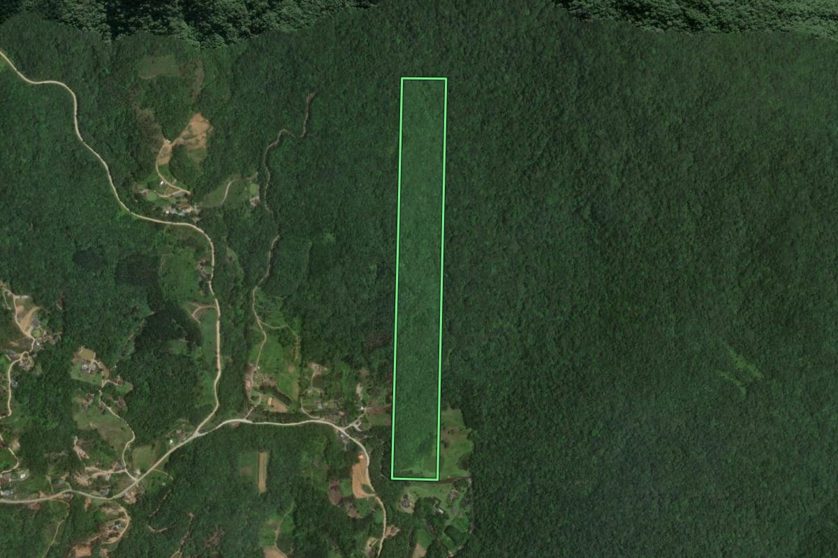 Imagem de satélite do imóvel rural em Ilhota (SC), com o contorno declarado no CAR desenhado por cima.