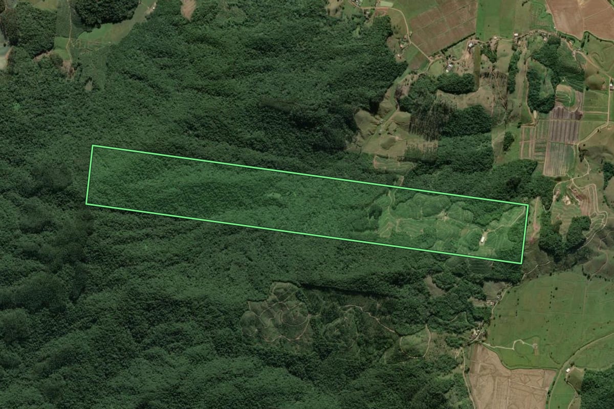 Imagem de satélite do imóvel rural em Ilhota (SC), com o contorno declarado no CAR desenhado por cima.