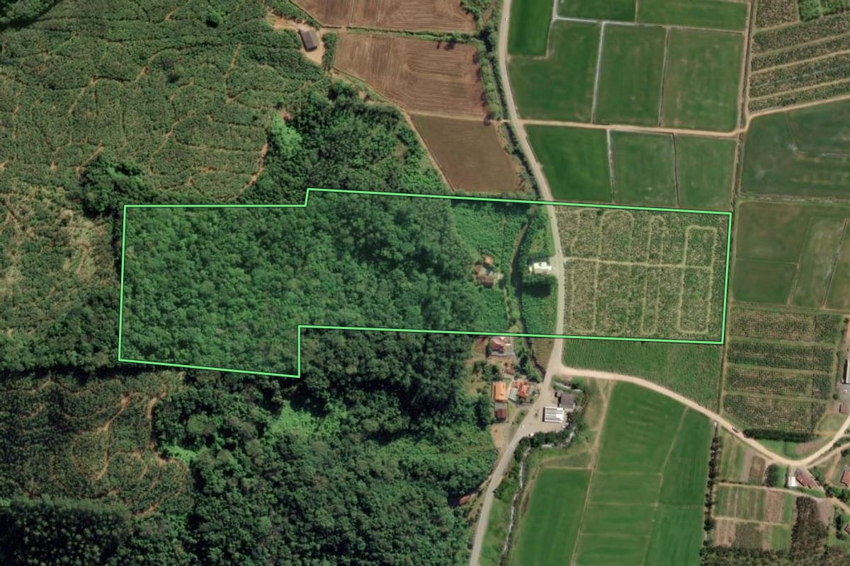 Imagem de satélite do imóvel rural em Ilhota (SC), com o contorno declarado no CAR desenhado por cima.
