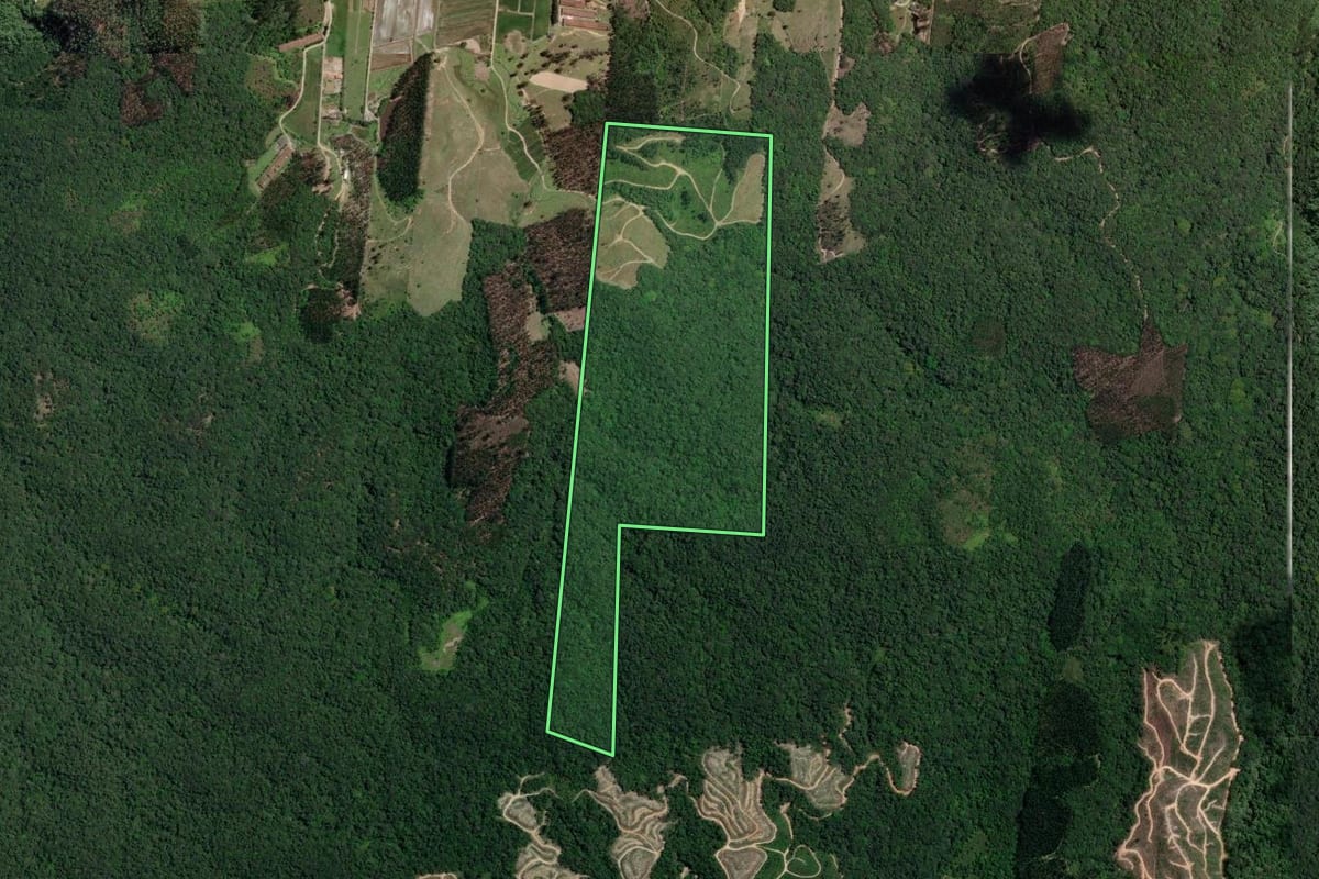 Imagem de satélite do imóvel rural em Ilhota (SC), com o contorno declarado no CAR desenhado por cima.