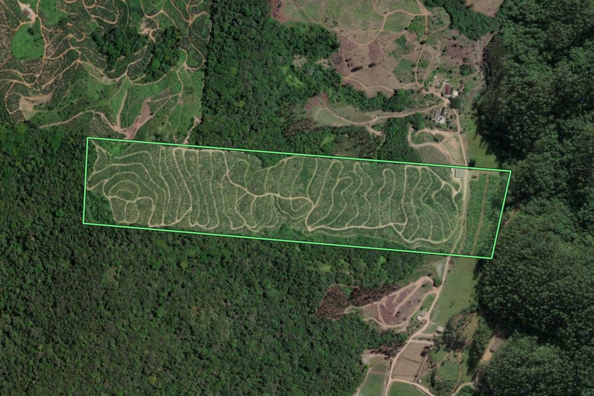 Imagem de satélite do imóvel rural em Ilhota (SC), com o contorno declarado no CAR desenhado por cima.
