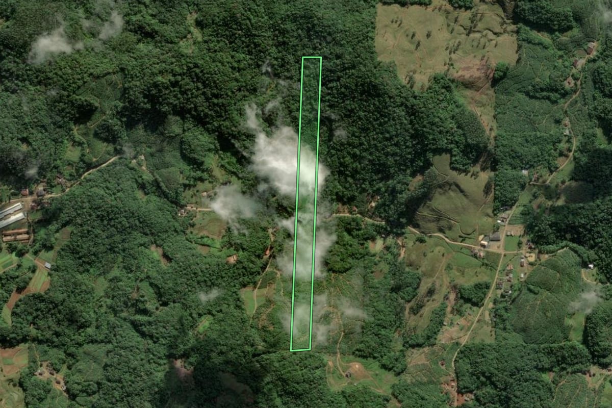 Imagem de satélite do imóvel rural em Ilhota (SC), com o contorno declarado no CAR desenhado por cima.