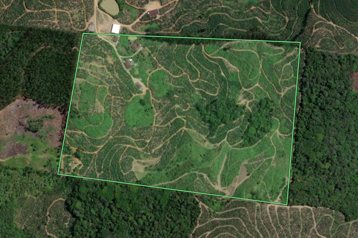 Imagem de satélite do imóvel rural em Ilhota (SC), com o contorno declarado no CAR desenhado por cima.