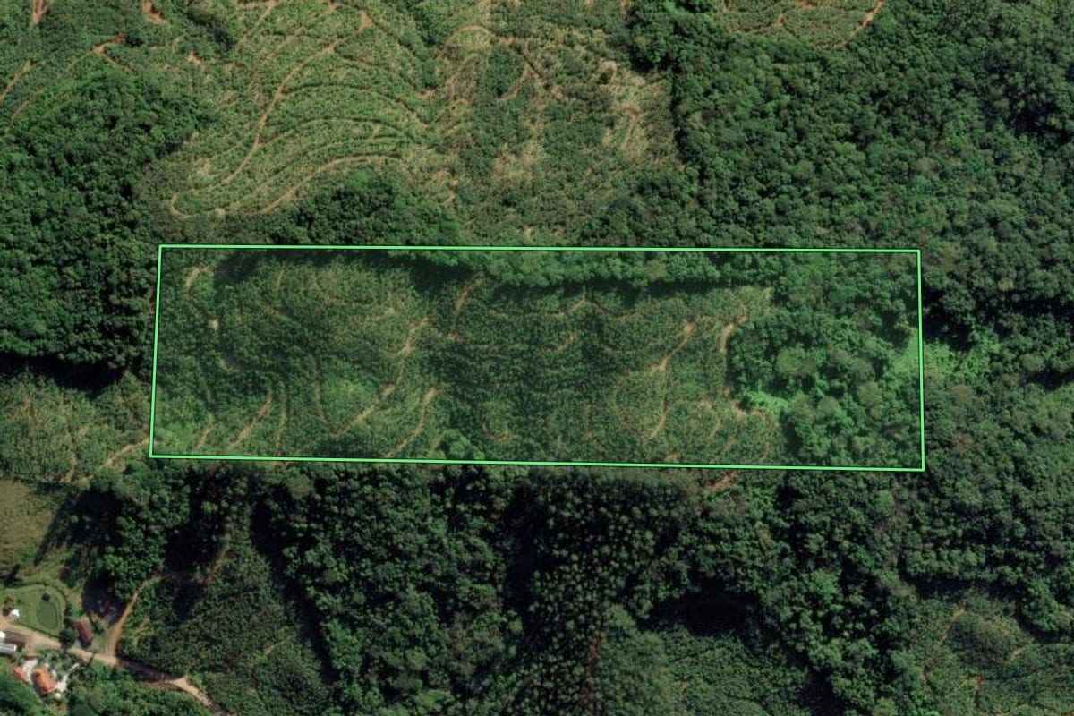 Imagem de satélite do imóvel rural em Ilhota (SC), com o contorno declarado no CAR desenhado por cima.