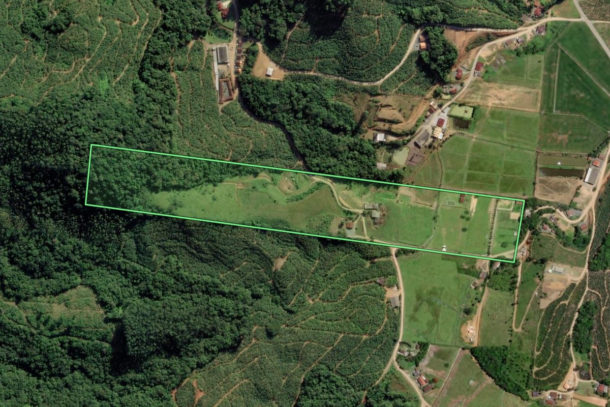 Imagem de satélite do imóvel rural em Ilhota (SC), com o contorno declarado no CAR desenhado por cima.