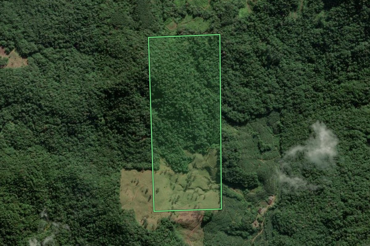 Imagem de satélite do imóvel rural em Ilhota (SC), com o contorno declarado no CAR desenhado por cima.