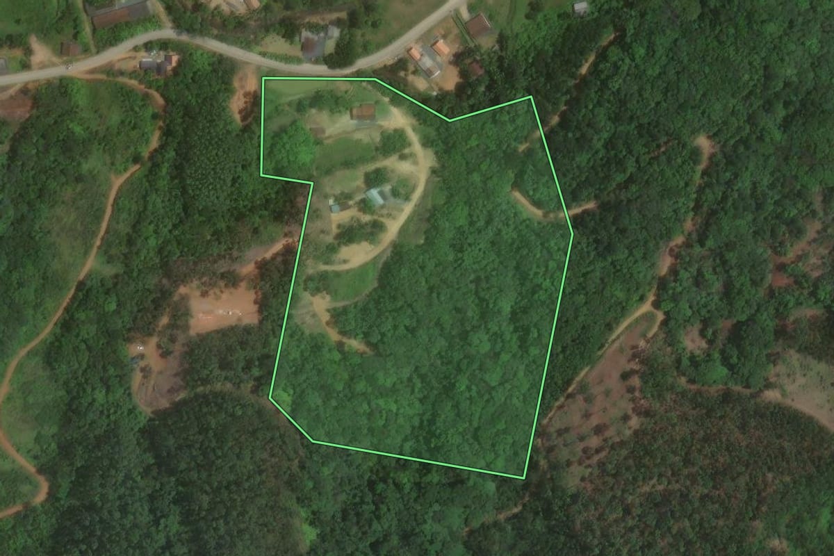 Imagem de satélite do imóvel rural em Ilhota (SC), com o contorno declarado no CAR desenhado por cima.