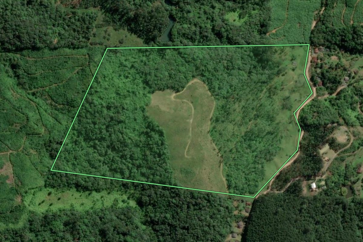 Imagem de satélite do imóvel rural em Ilhota (SC), com o contorno declarado no CAR desenhado por cima.