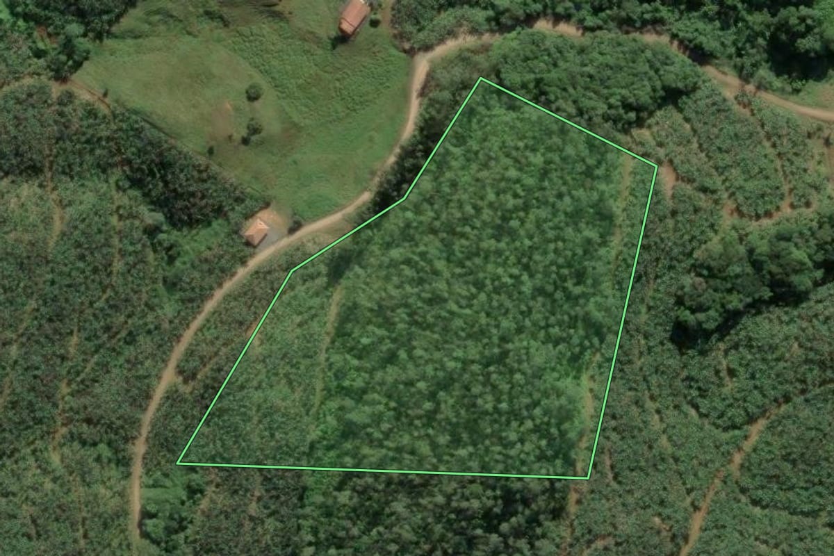 Imagem de satélite do imóvel rural em Ilhota (SC), com o contorno declarado no CAR desenhado por cima.