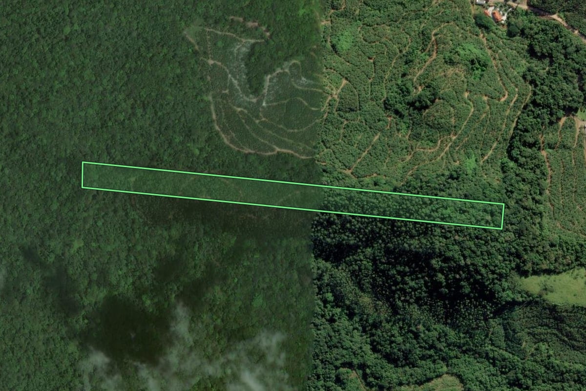 Imagem de satélite do imóvel rural em Ilhota (SC), com o contorno declarado no CAR desenhado por cima.