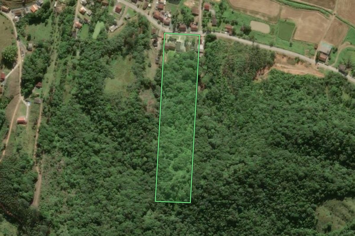 Imagem de satélite do imóvel rural em Ilhota (SC), com o contorno declarado no CAR desenhado por cima.