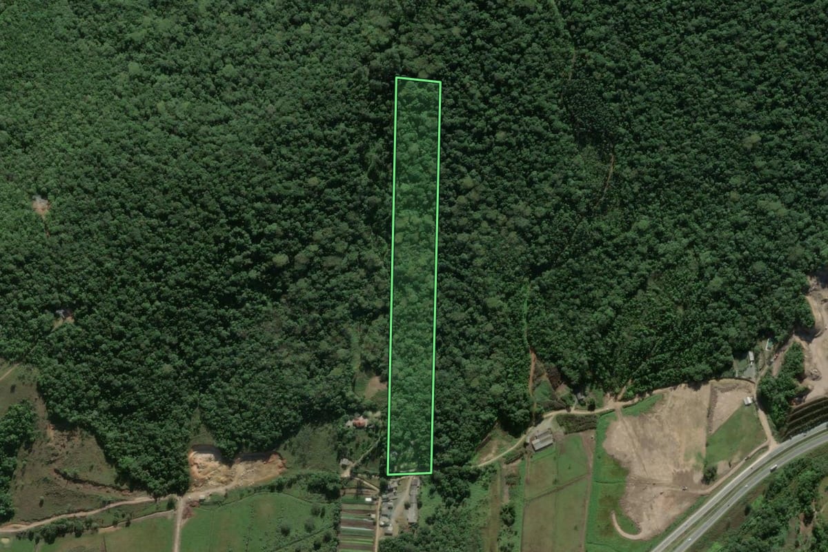 Imagem de satélite do imóvel rural em Ilhota (SC), com o contorno declarado no CAR desenhado por cima.