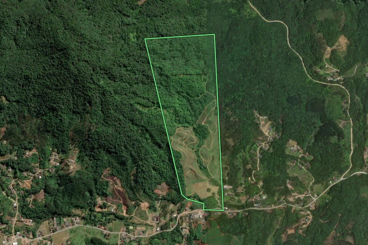 Imagem de satélite do imóvel rural em Ilhota (SC), com o contorno declarado no CAR desenhado por cima.