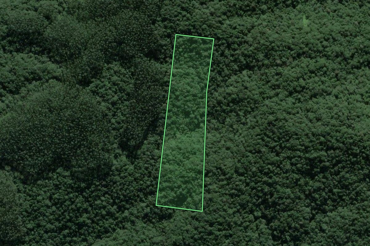 Imagem de satélite do imóvel rural em Ilhota (SC), com o contorno declarado no CAR desenhado por cima.