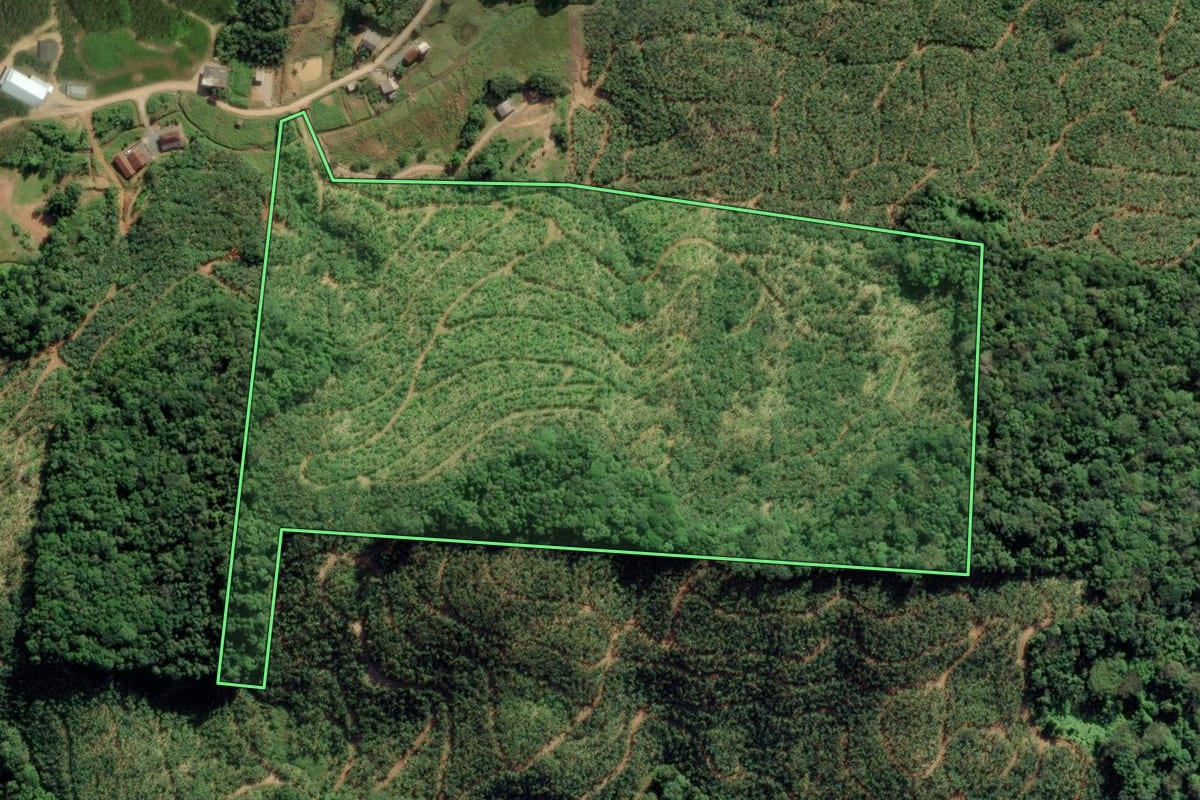 Imagem de satélite do imóvel rural em Ilhota (SC), com o contorno declarado no CAR desenhado por cima.