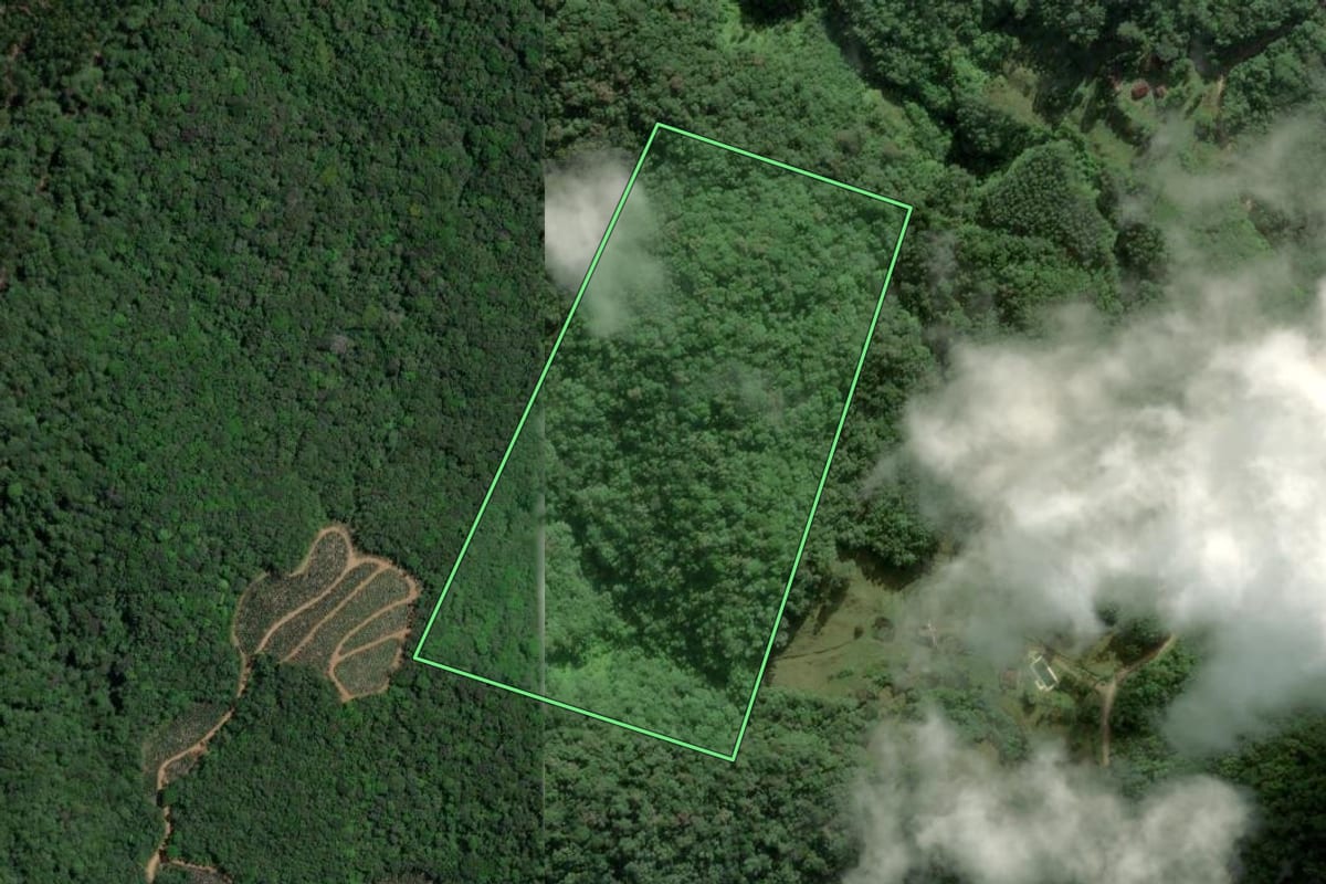 Imagem de satélite do imóvel rural em Ilhota (SC), com o contorno declarado no CAR desenhado por cima.