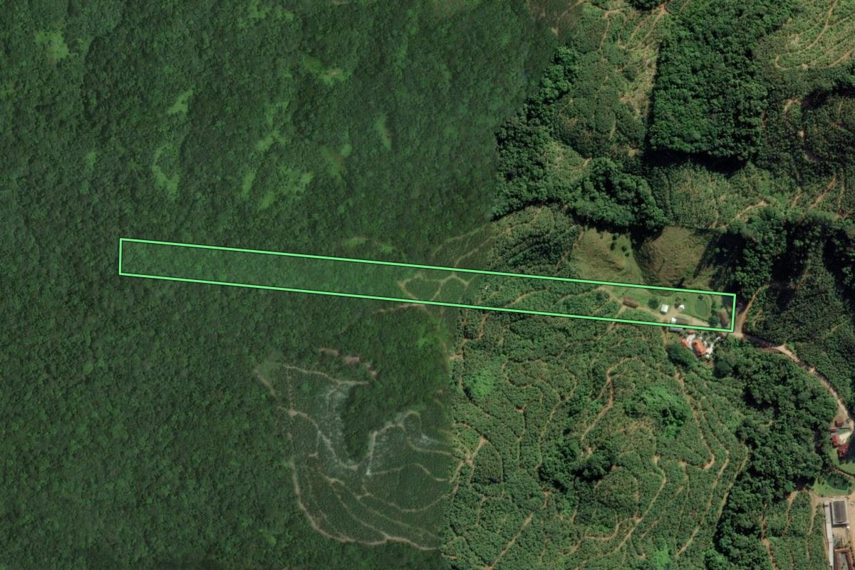 Imagem de satélite do imóvel rural em Ilhota (SC), com o contorno declarado no CAR desenhado por cima.
