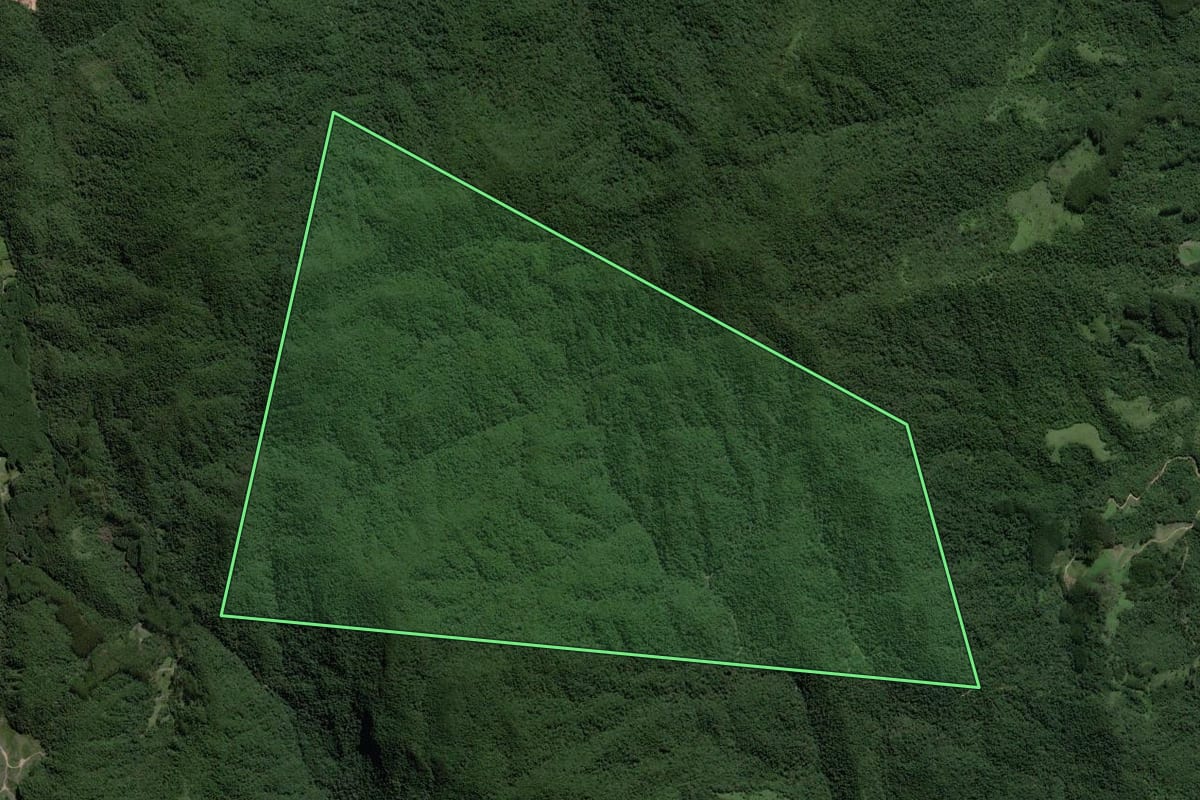 Imagem de satélite do imóvel rural em Imaruí (SC), com o contorno declarado no CAR desenhado por cima.