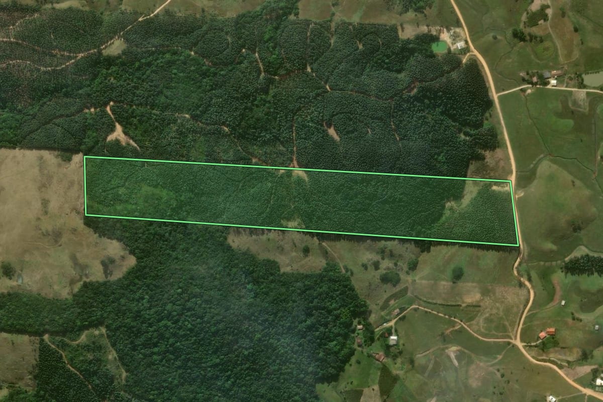 Imagem de satélite do imóvel rural em Imaruí (SC), com o contorno declarado no CAR desenhado por cima.