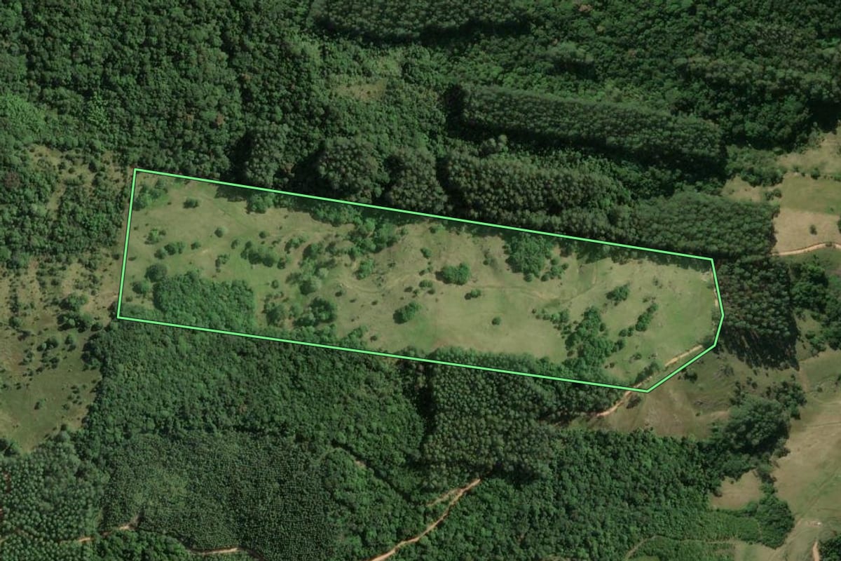 Imagem de satélite do imóvel rural em Imaruí (SC), com o contorno declarado no CAR desenhado por cima.